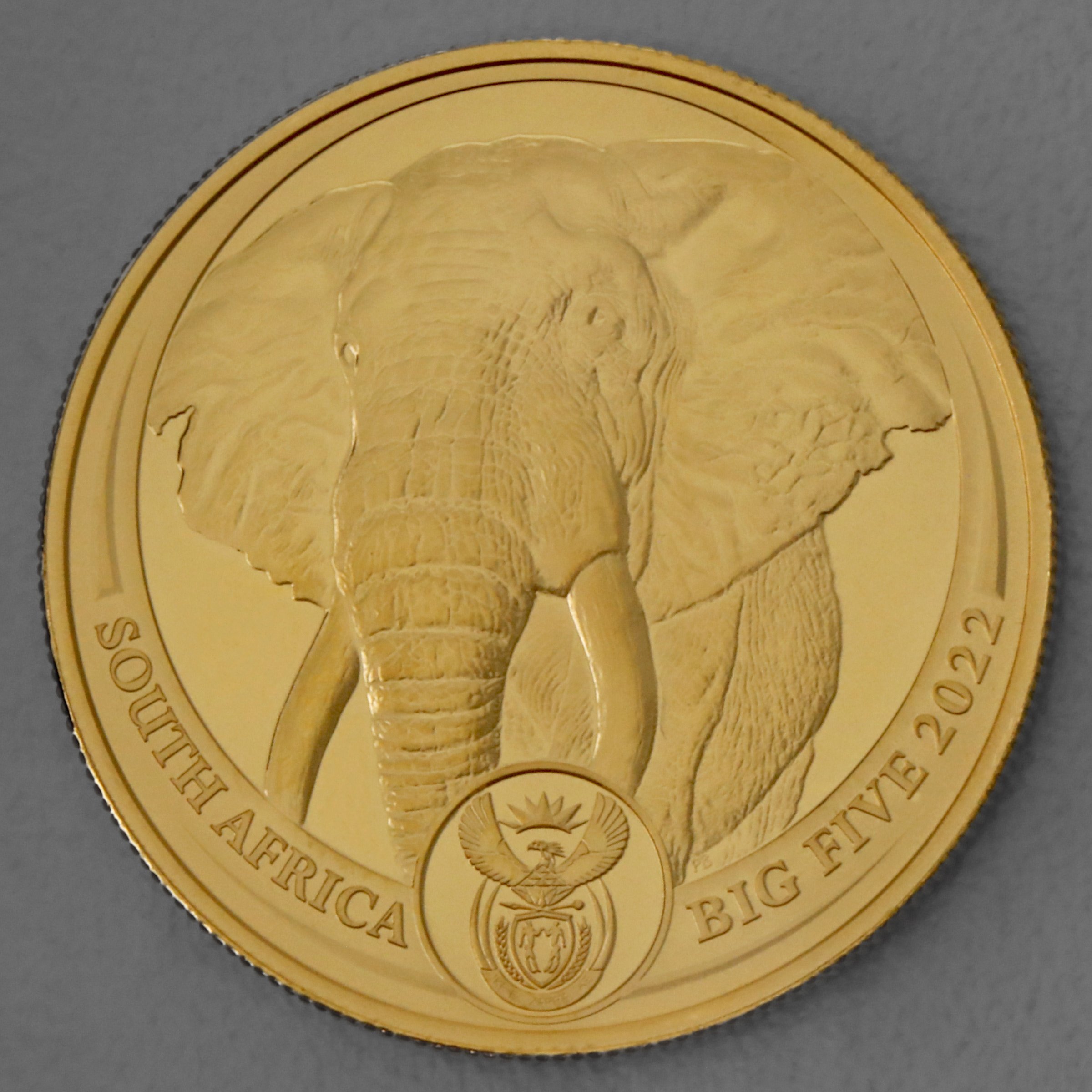 Goldmünze 1oz "Elefant" 2022 Big Five II (Südafrika) - Hauptansicht