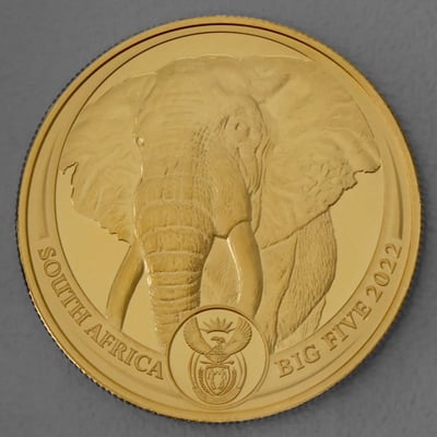 Goldmünze 1oz "Elefant" 2022 Big Five II (Südafrika) - Miniaturansicht 1