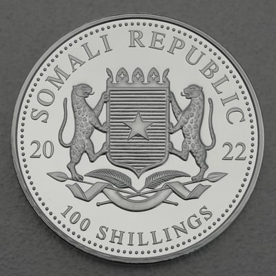 Silbermünze 1oz "Elefant" 2022 African Wildlife (Somalia) - Miniaturansicht 2