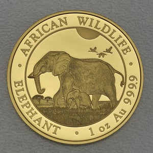Goldmünze 1oz "Elefant" 2022 African Wildlife (Somalia) - Hauptansicht
