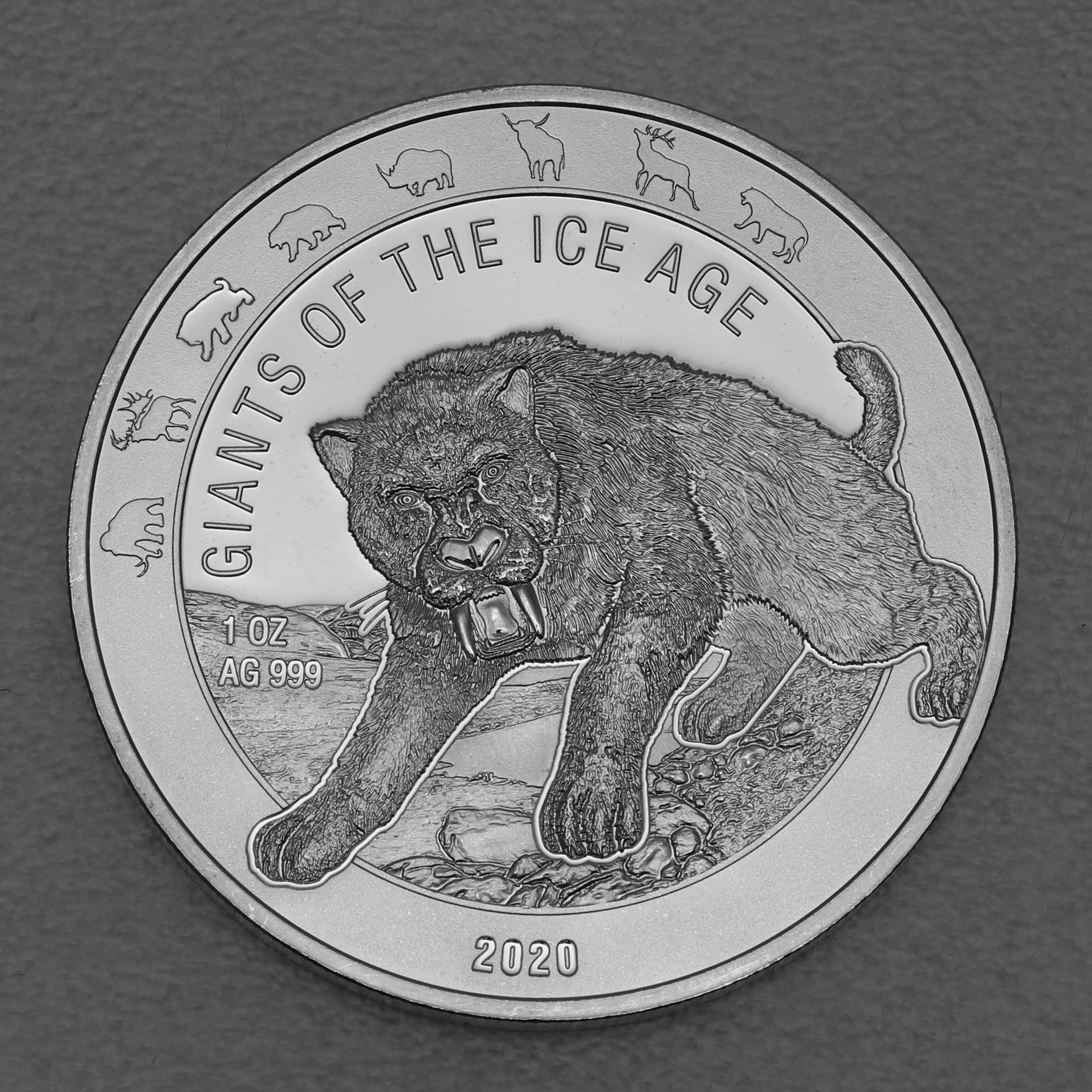 Silbermünze 1oz "Säbelzahnkatze" 2020 Giants of Ice Age (Ghana) - Hauptansicht