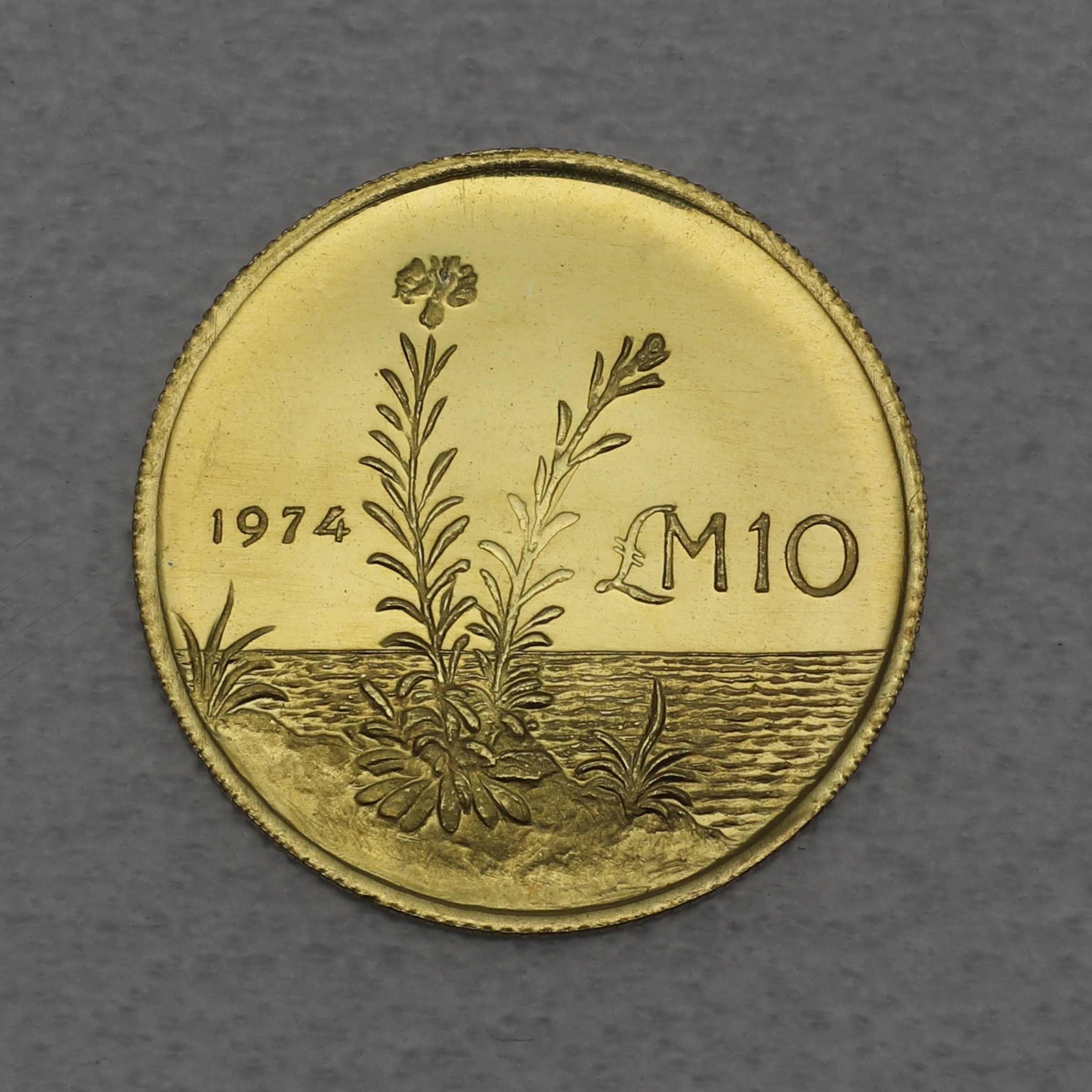 Goldmünze 10 Pounds 1974 (Malta) - Hauptansicht