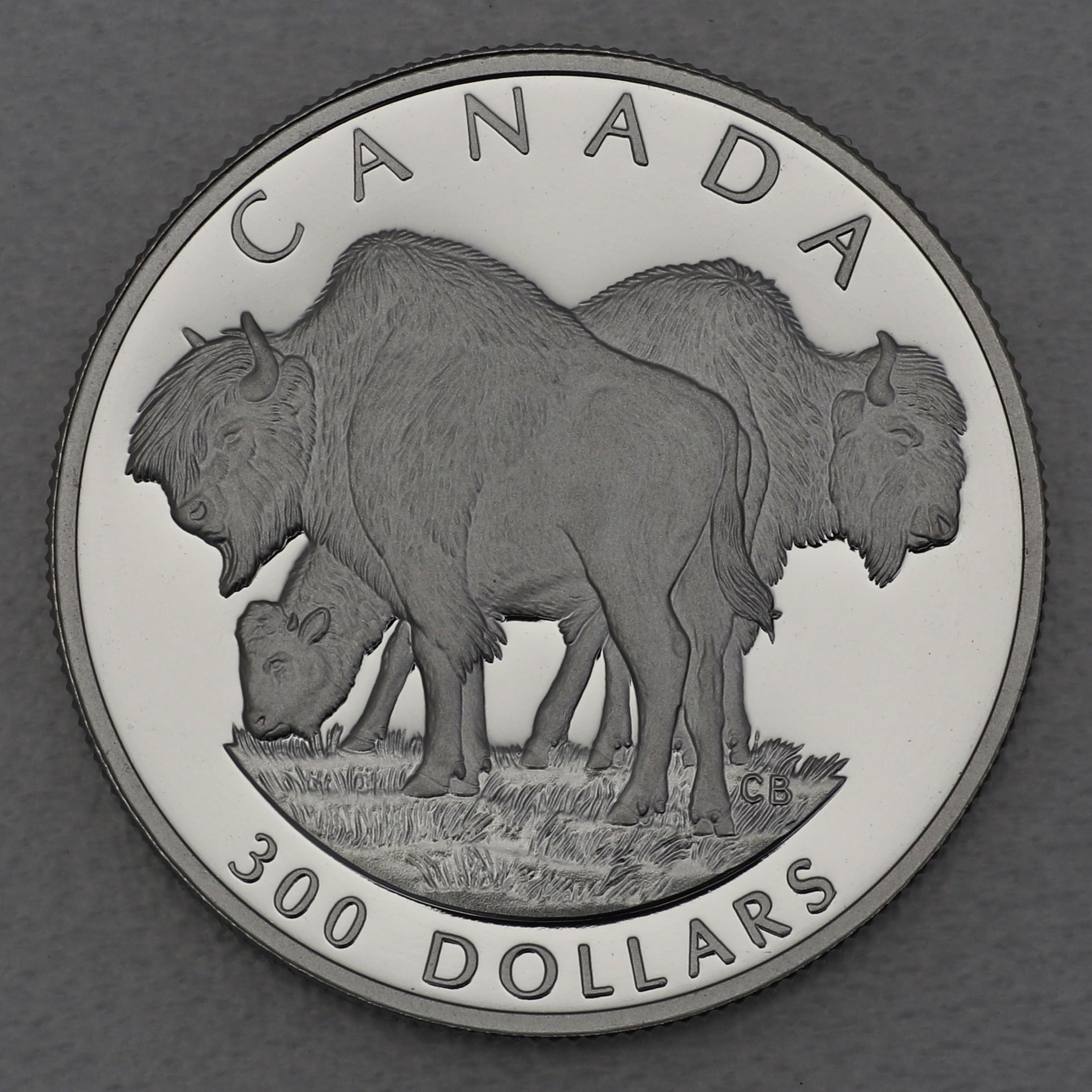 Platinmünze 1oz "Wood Bison" 1997 Wildlife Canada (Kanada) - Hauptansicht