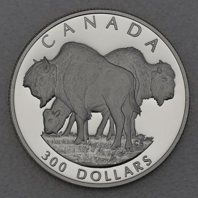 Platinmünze 1oz "Wood Bison" 1997 Wildlife Canada (Kanada) - Miniaturansicht 1