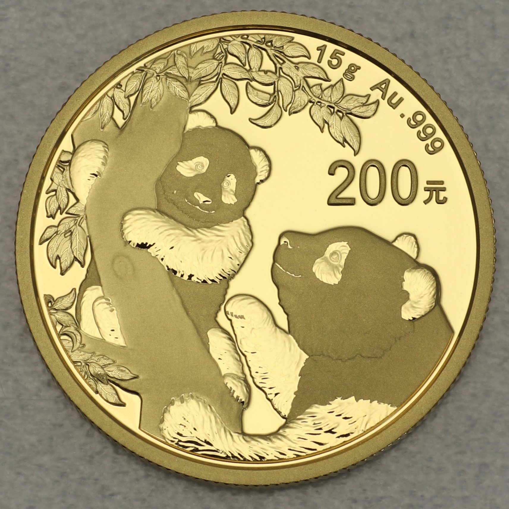Goldmünze 15g "Panda" 2021 (China) - Hauptansicht