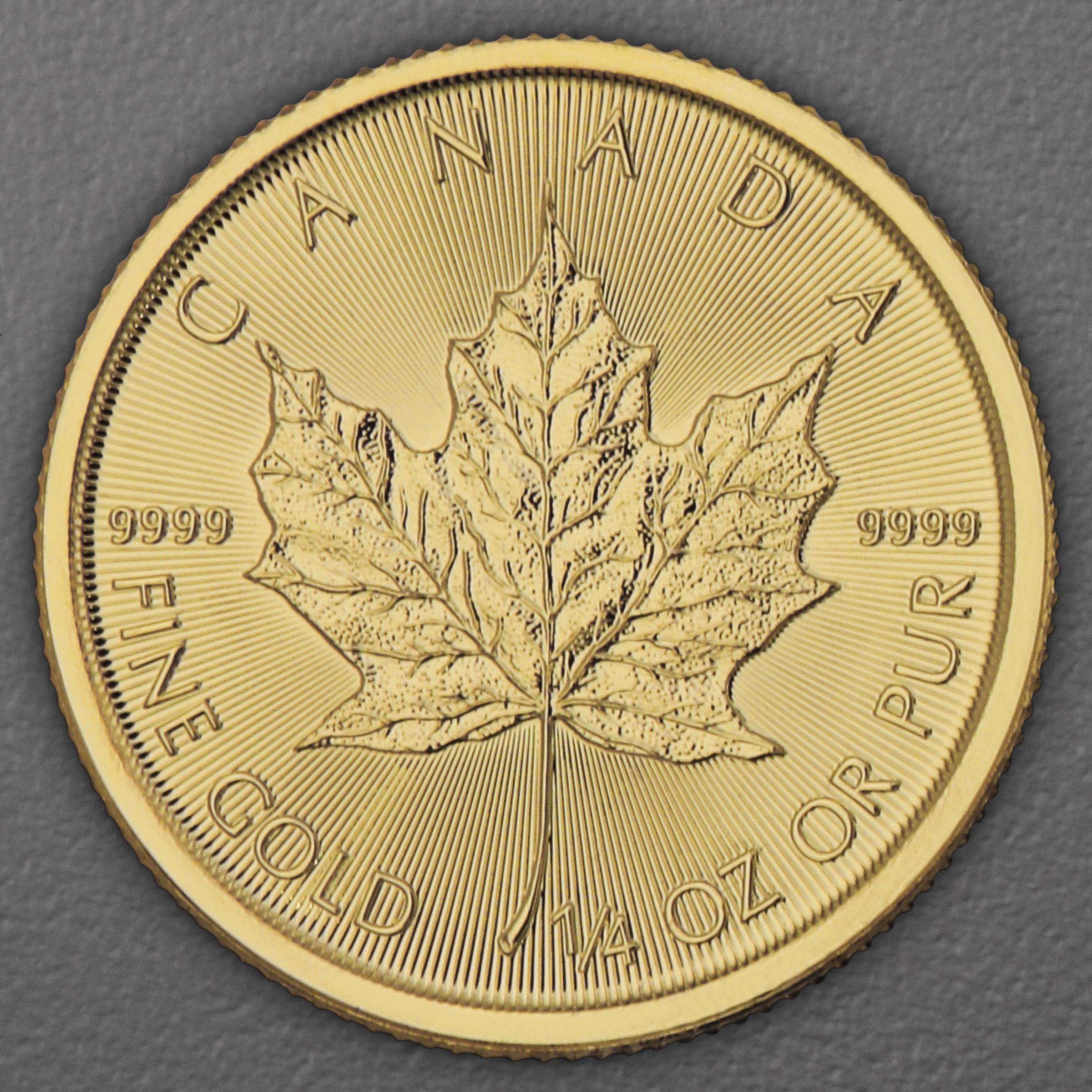 Goldmünze 1/4oz "Maple Leaf" aktueller Jahrgang (Kanada) - Hauptansicht
