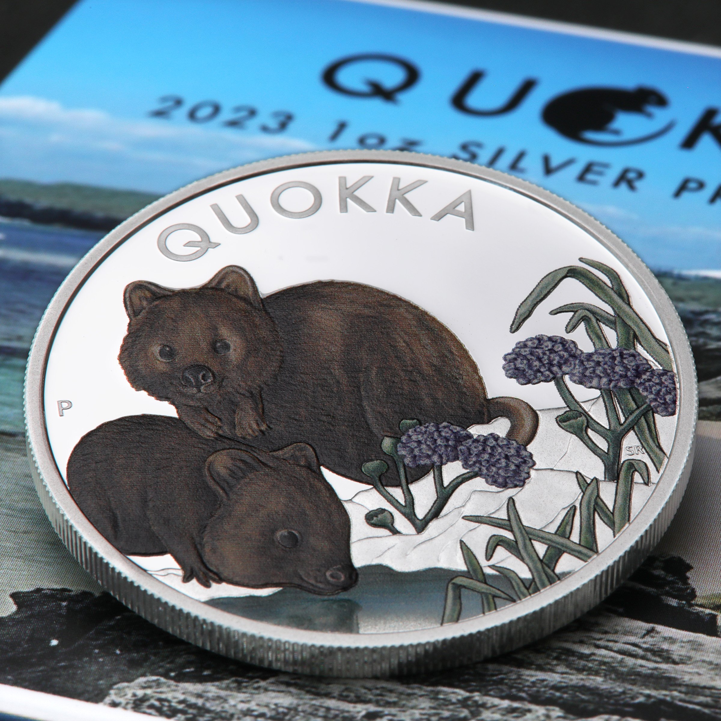 Silbermünze 1oz "Quokka" 2023 (PP/koloriert) (Australien) - Detailansicht 5