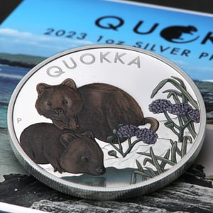 Silbermünze 1oz "Quokka" 2023 (PP/koloriert) (Australien) - Miniaturansicht 6