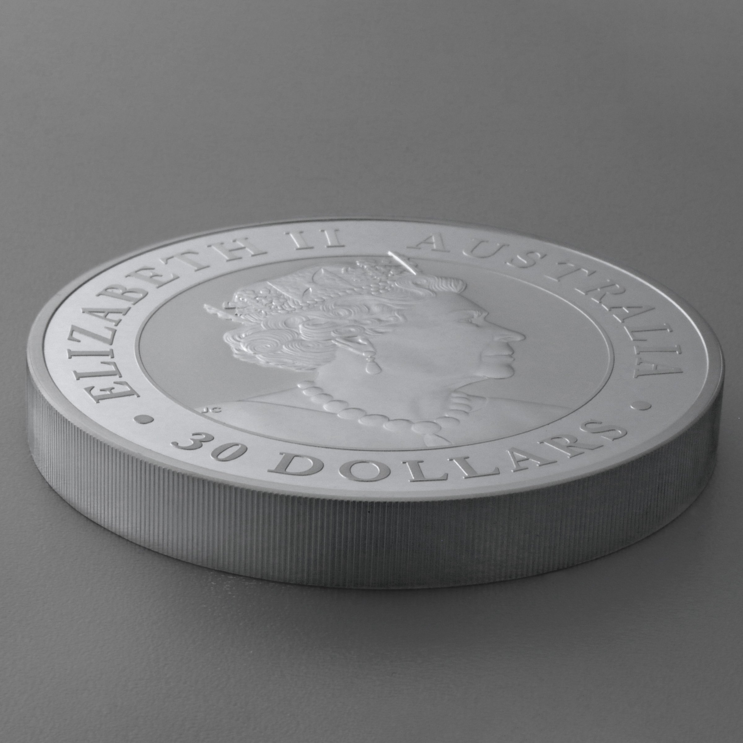 Silbermünze 1kg "Kookaburra" 2022 19% (Australien) - Detailansicht 3