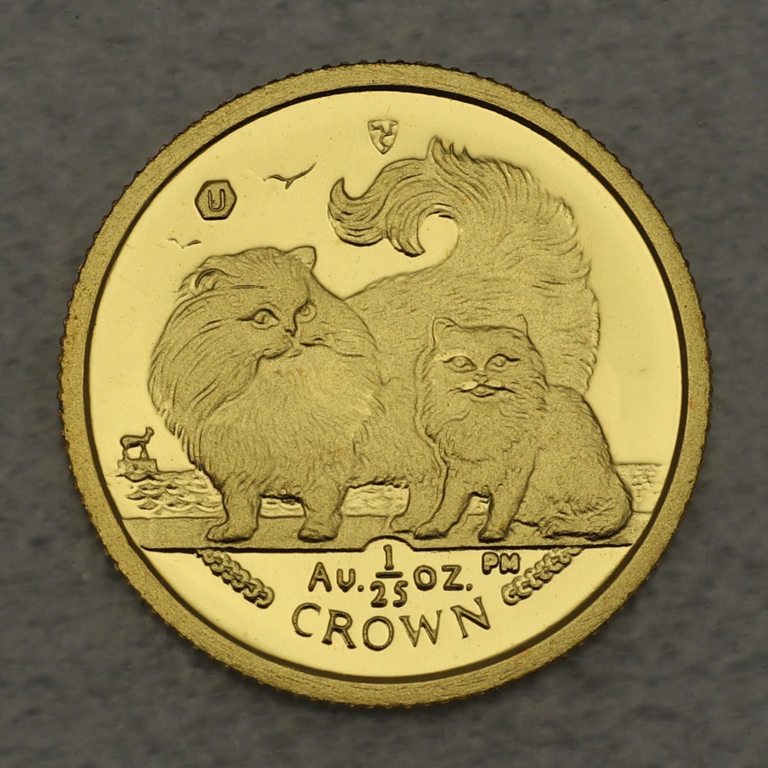 Goldmünze 1/25oz "Chinchilla Cat" 2009 Cats (Isle of Man) - Hauptansicht