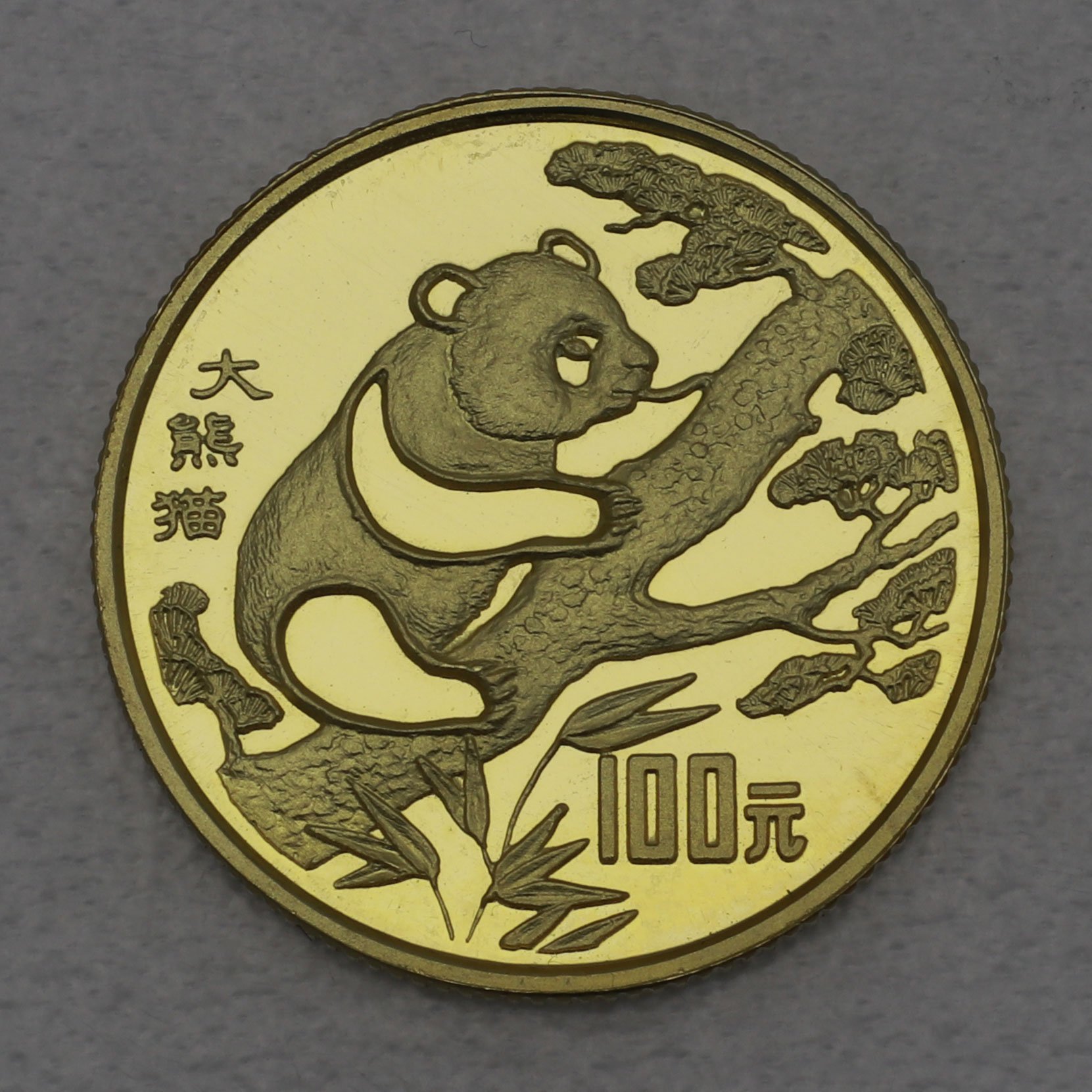 Goldmünze 100 Yuan "Panda" 1994 Endangered Wildlife (China) - Hauptansicht