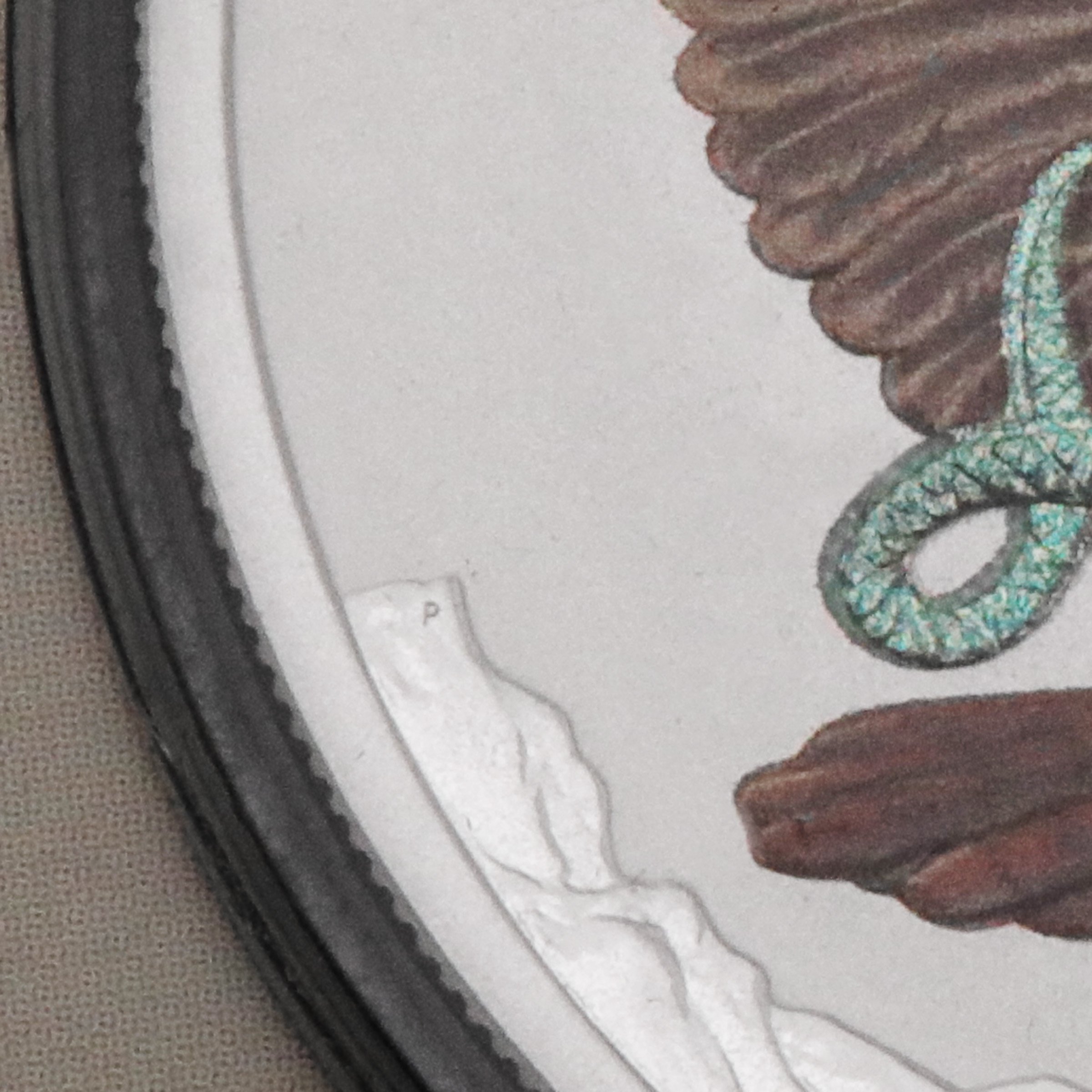 Silbermünze 1oz "Kookaburra" 2024 (koloriert) World Money Fair - Coin Show Special (Australien) - Detailansicht 2
