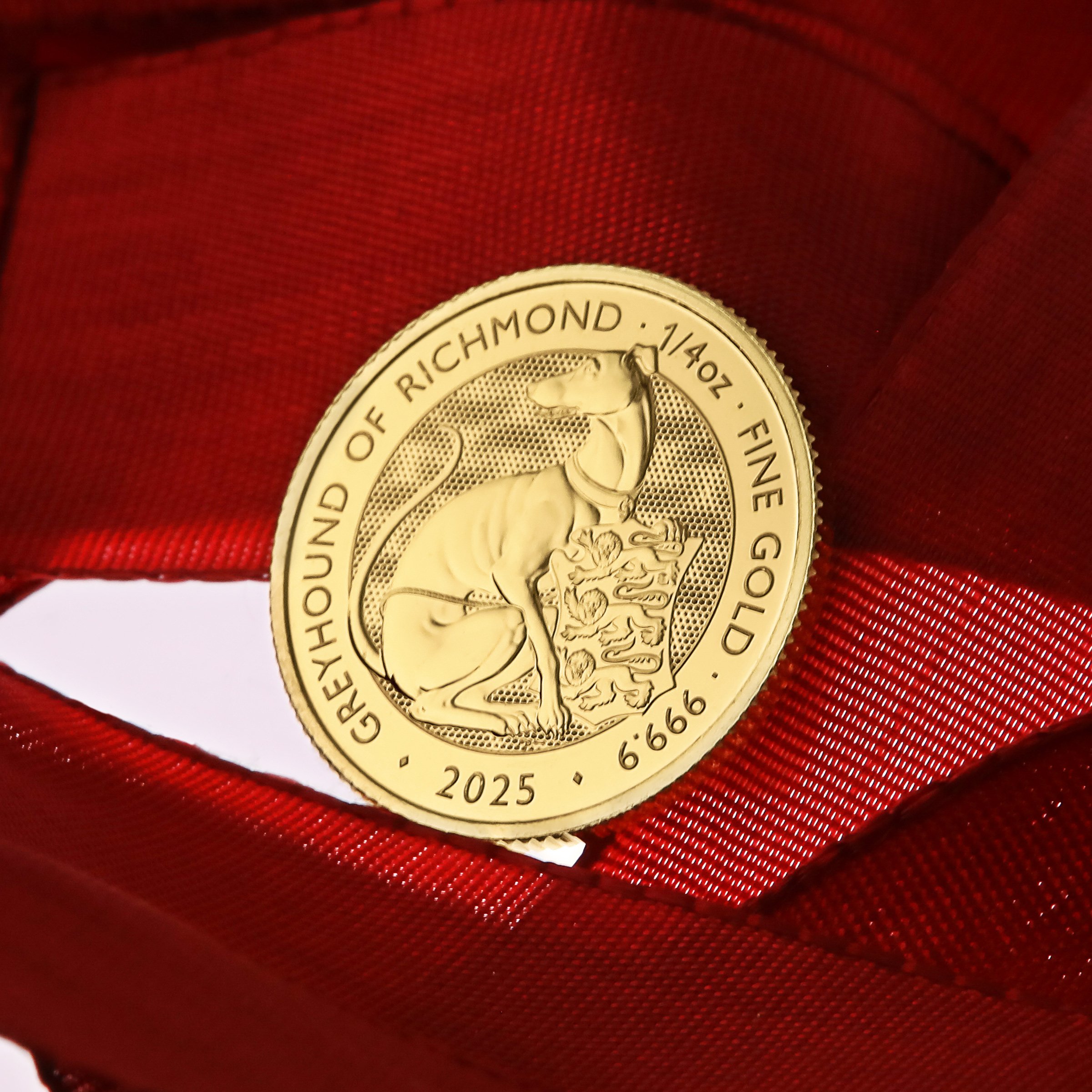 Goldmünze 1/4oz "Greyhound of Richmond" 2025 Royal Tudor Beasts (Großbritannien) - Detailansicht 4