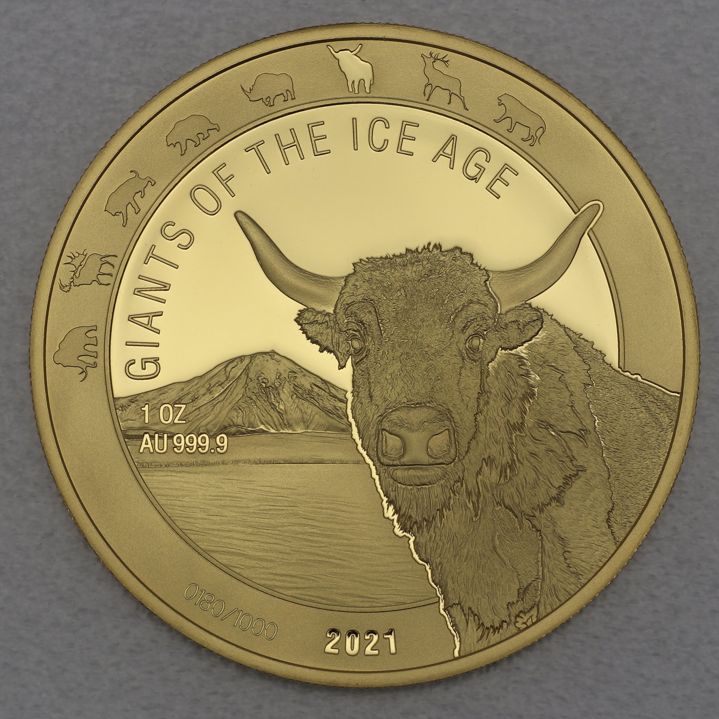 Goldmünze 1oz "Auerochse" 2021 Giants of Ice Age (Ghana) - Hauptansicht
