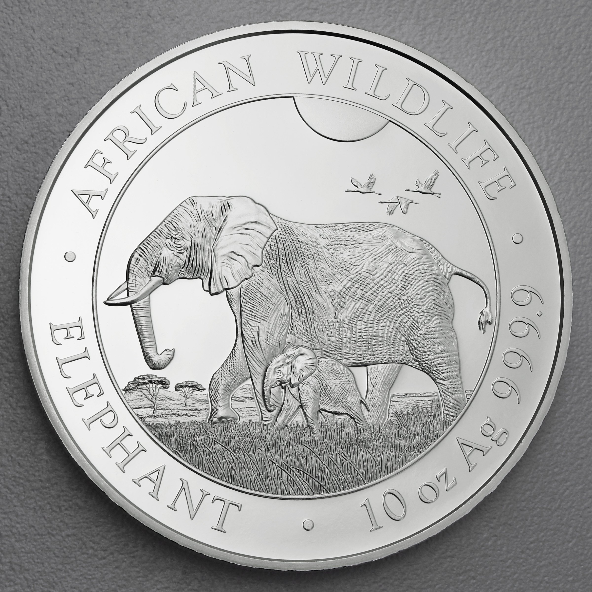 Silbermünze 10oz "Elefant" 2022 African Wildlife (Somalia) - Hauptansicht