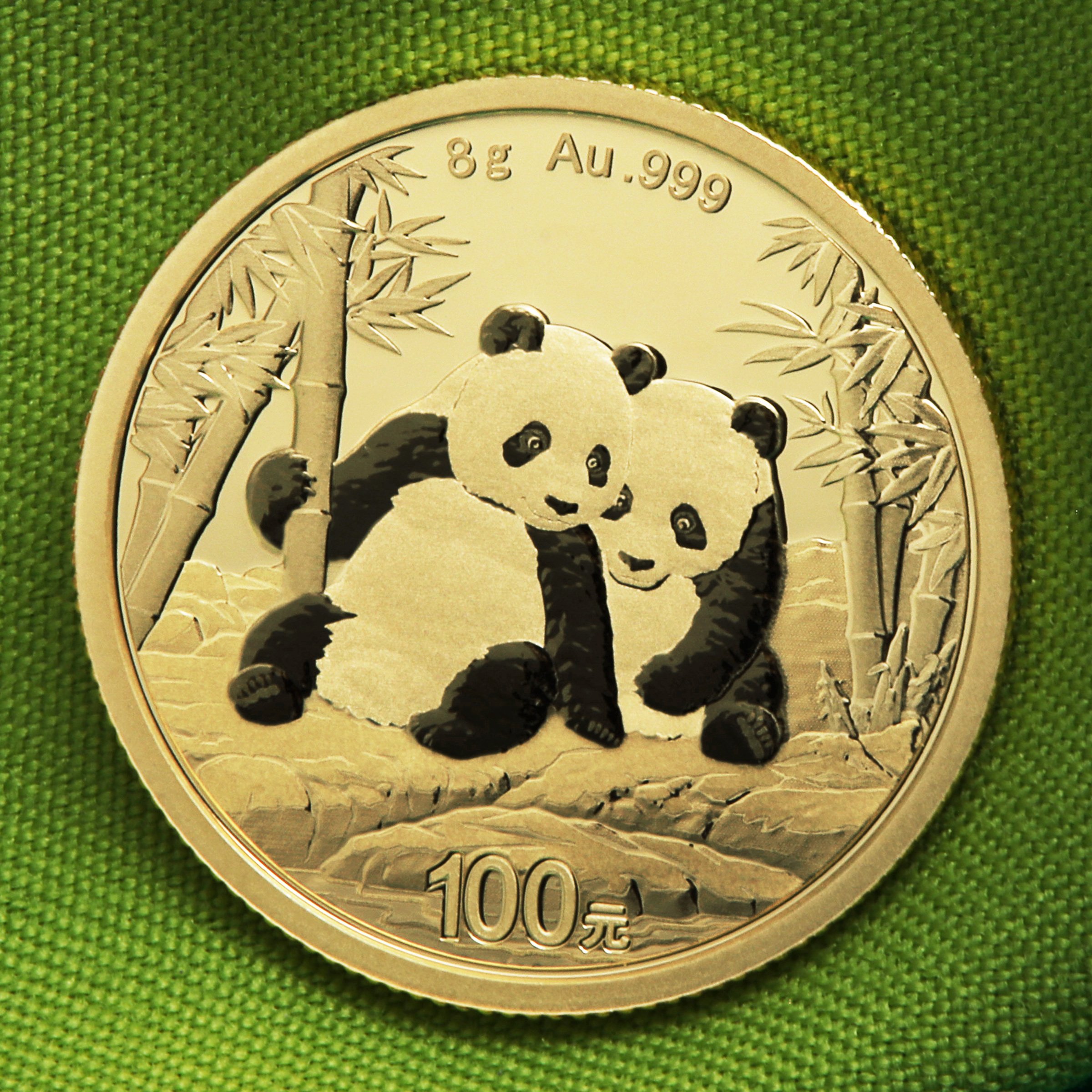 Goldmünze 8g "Panda" 2026 (China) - Detailansicht 4