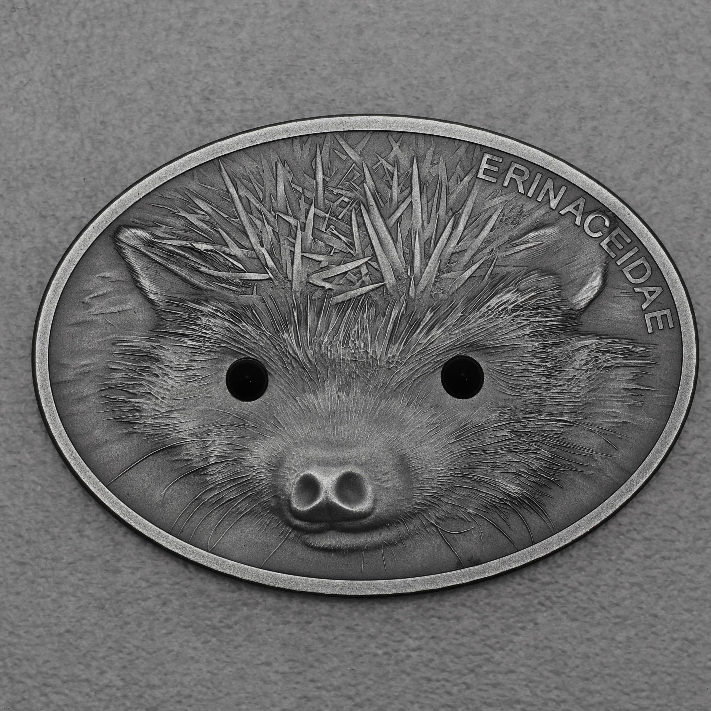 Silbermünze 1oz "Hedgehog 2013" (Fiji) Fascinating Wildlife Oval Silver Antik Finish Coin - Hauptansicht