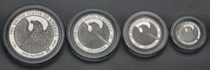 Platinmünzen "American Eagle" 2007 (PP) Set – 4-teilig (USA) - Miniaturansicht 3