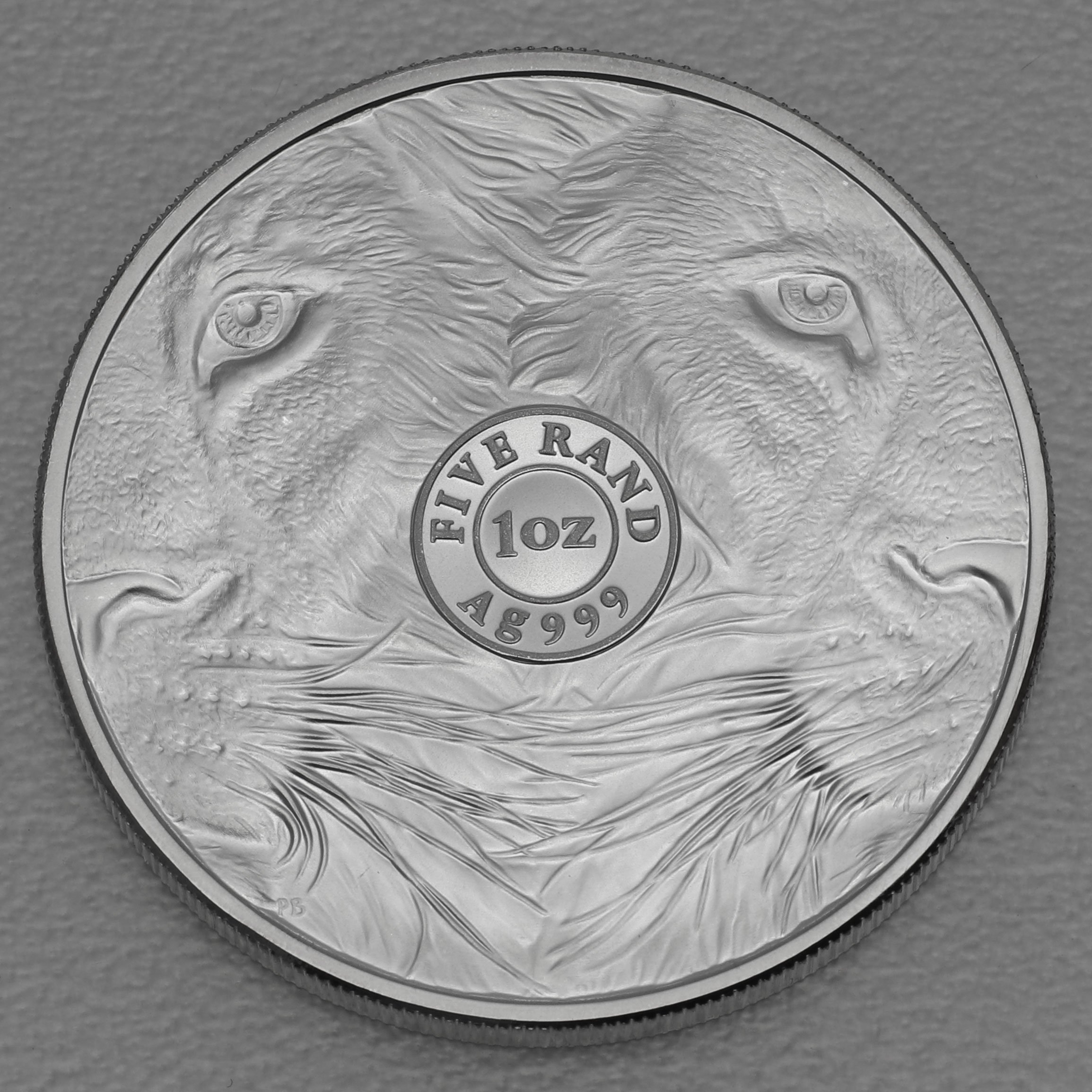 Silbermünze 1oz "Löwe" 2019" Big Five I (Südafrika) - Detailansicht 1