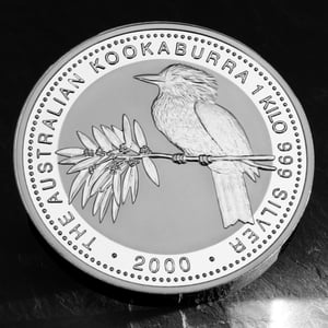Silbermünze 1kg "Kookaburra" 2000 (Australien) - Miniaturansicht 5