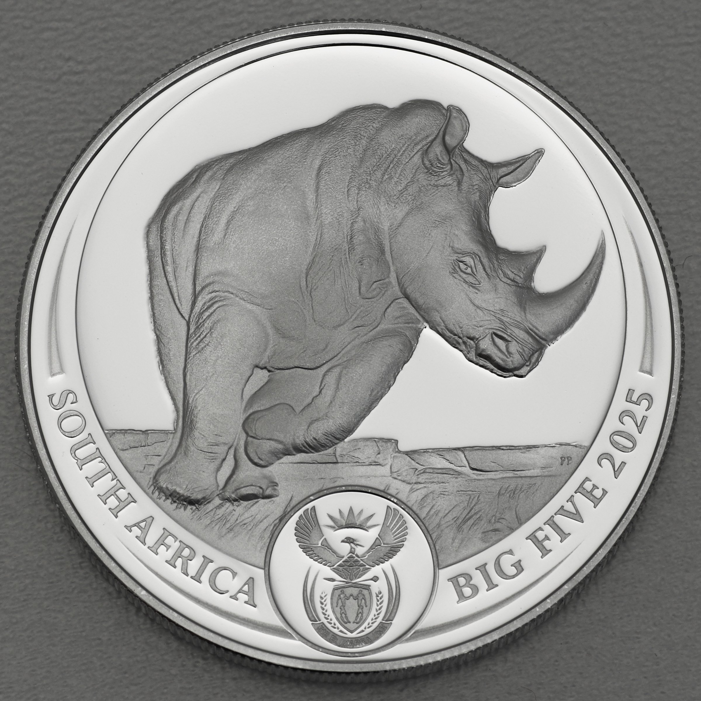 Silbermünze 1oz "Nashorn" 2025 (PP) Big Five III (Südafrika) - Hauptansicht