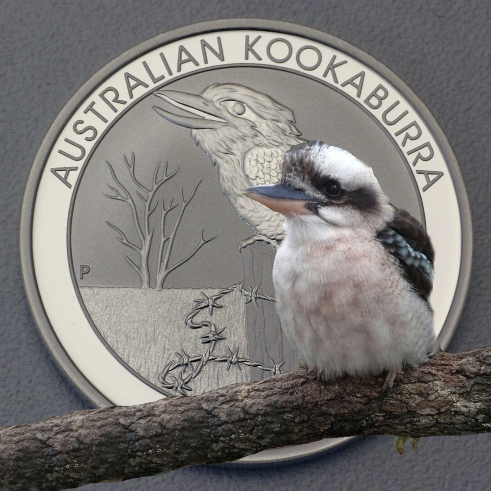 Silbermünze 1oz "Kookaburra" 2016 diff. (Australien) - Detailansicht 3