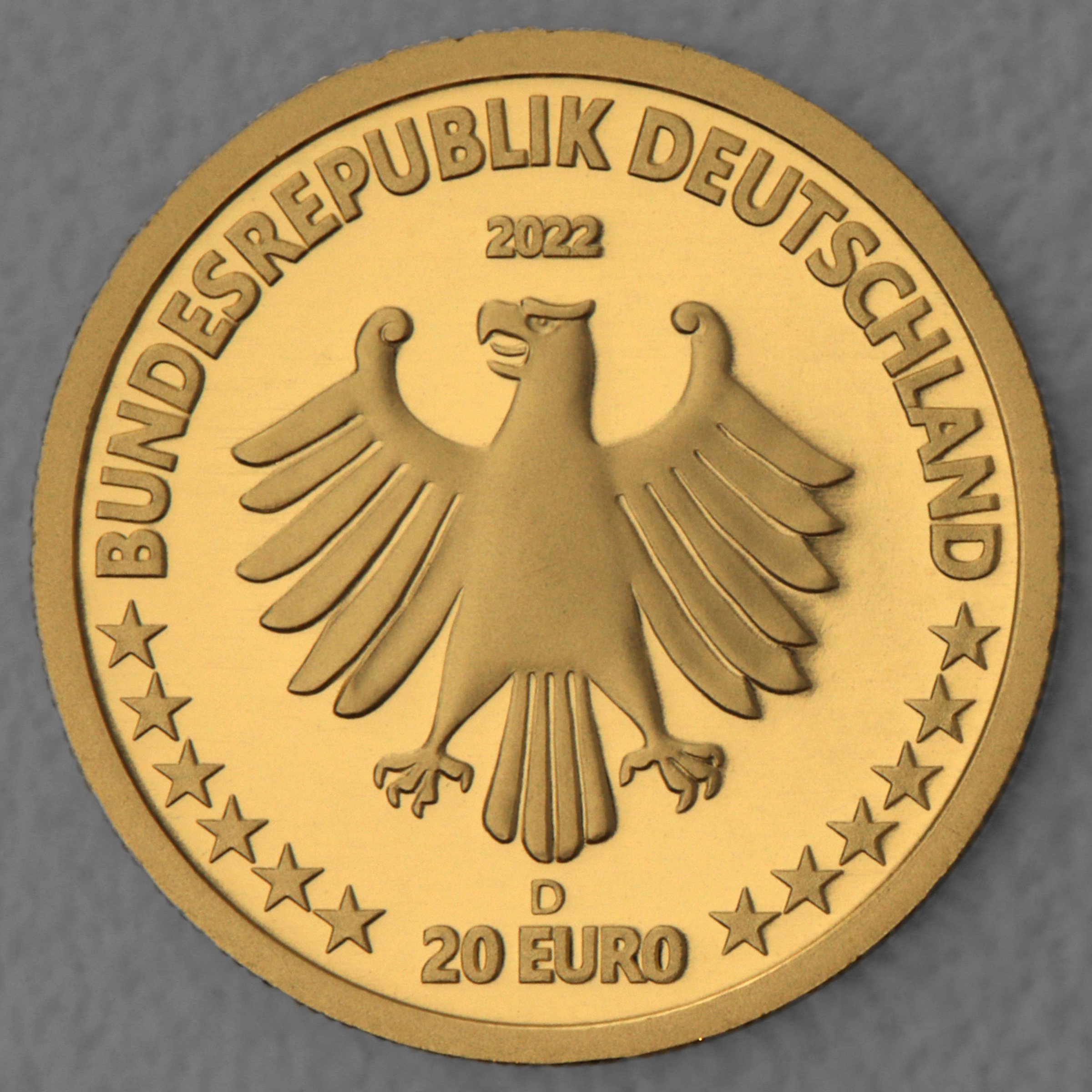 Goldmünze 20 Euro "Kegelrobbe" 2022 Rückkehr der Wildtiere (Deutschland) - Detailansicht 1