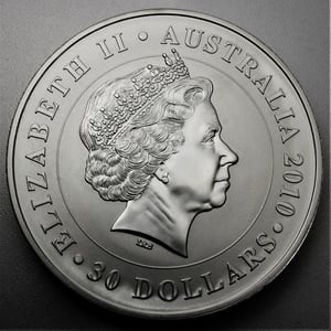 Silbermünze 1kg "Koala" 2010 diff. (Australien) - Miniaturansicht 2