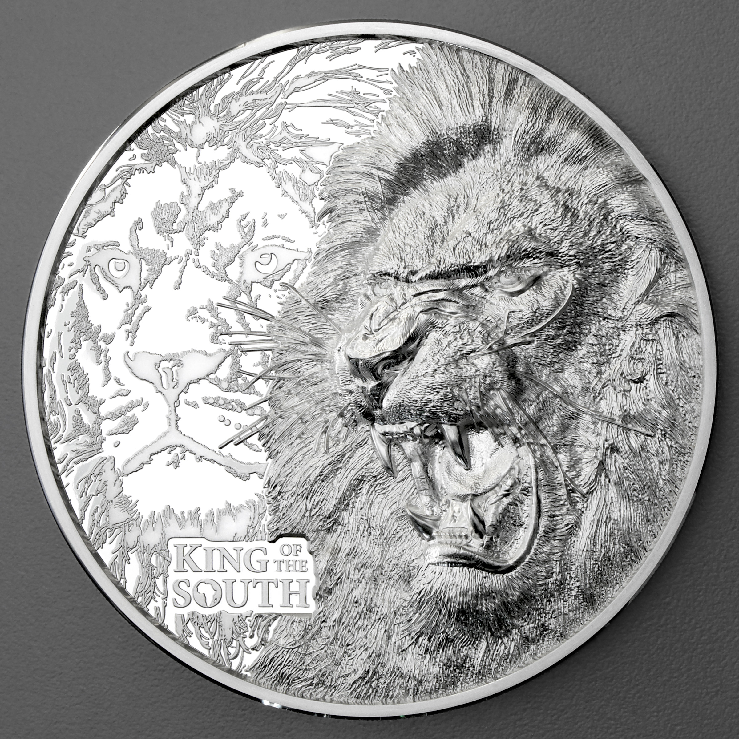 Silbermünze 1kg "King of the South - Lion" 2023 (PP/HR) Cook Islands - Hauptansicht