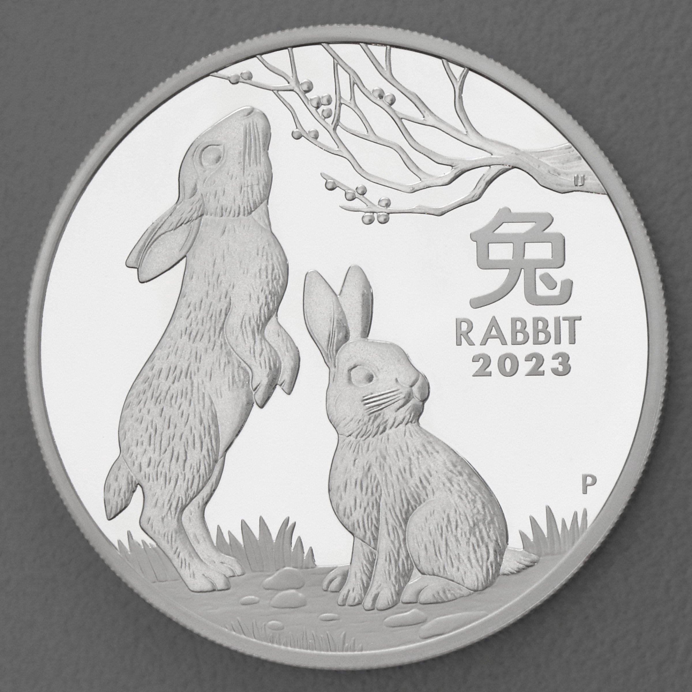 Silbermünzen 1oz "Hase" 2023 (PP/kol./vergoldet) Set 3-teilig Year of the Rabbit (Australien) - Detailansicht 1
