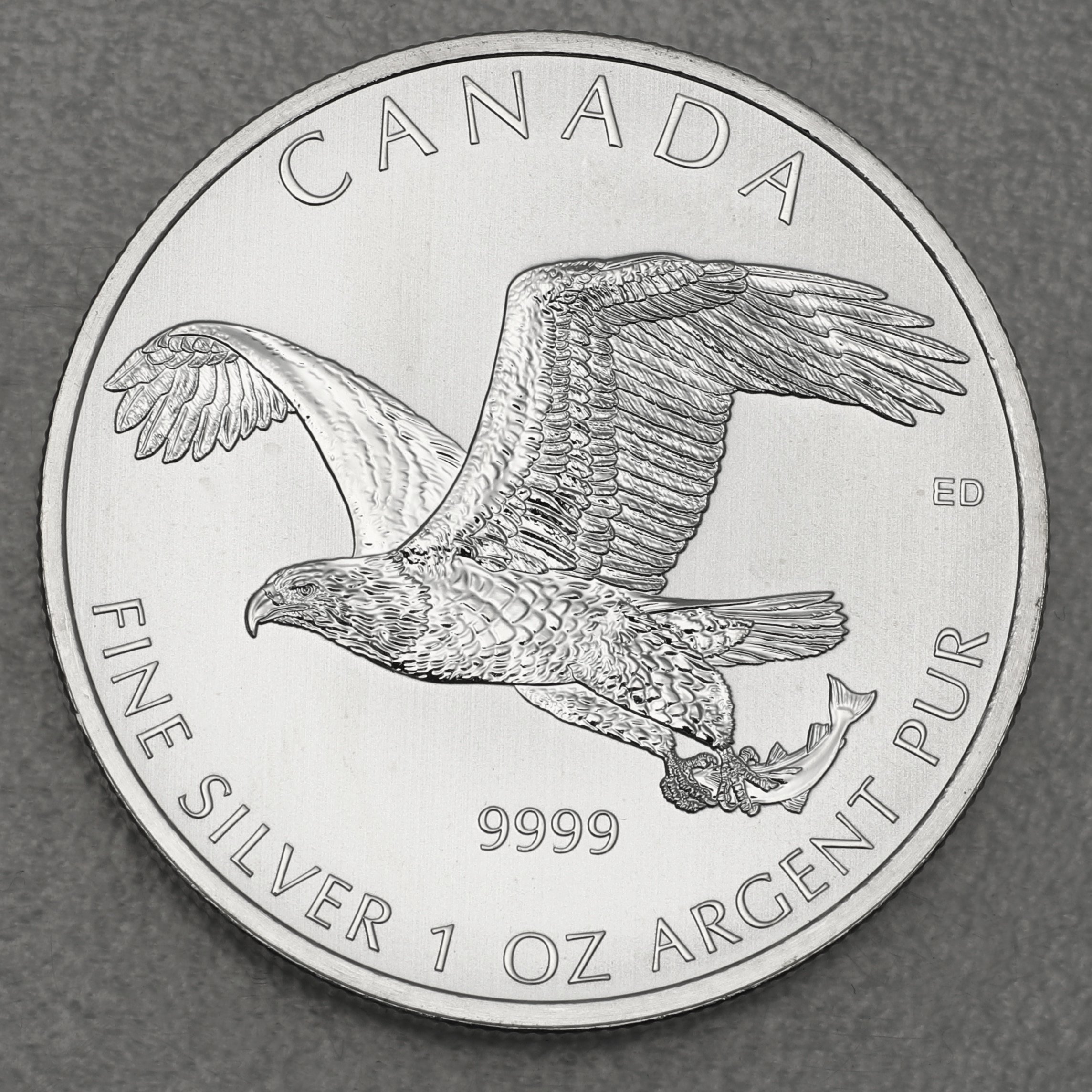 Silbermünze 1oz "Bald Eagle" 2014 Birds of Prey (Kanada) - Hauptansicht
