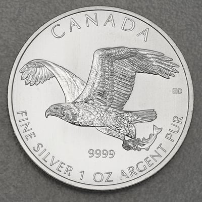 Silbermünze 1oz "Bald Eagle" 2014 Birds of Prey (Kanada) - Hauptansicht