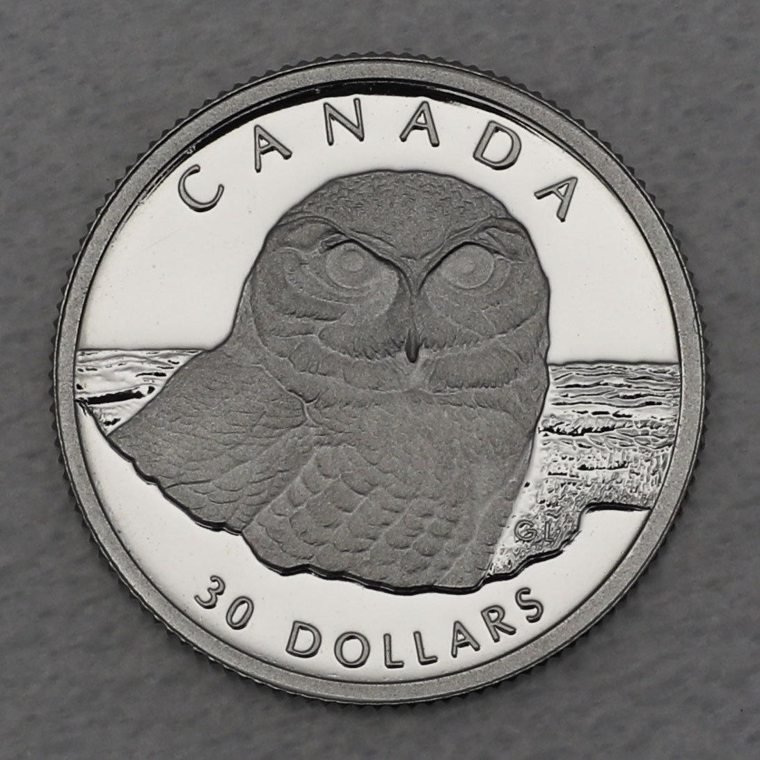 Platinmünze 1/10oz "Snowy Owl" 1991 Wildlife Canada (Kanada) - Hauptansicht
