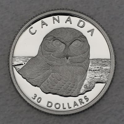 Platinmünze 1/10oz "Snowy Owl" 1991 Wildlife Canada (Kanada) - Miniaturansicht 1