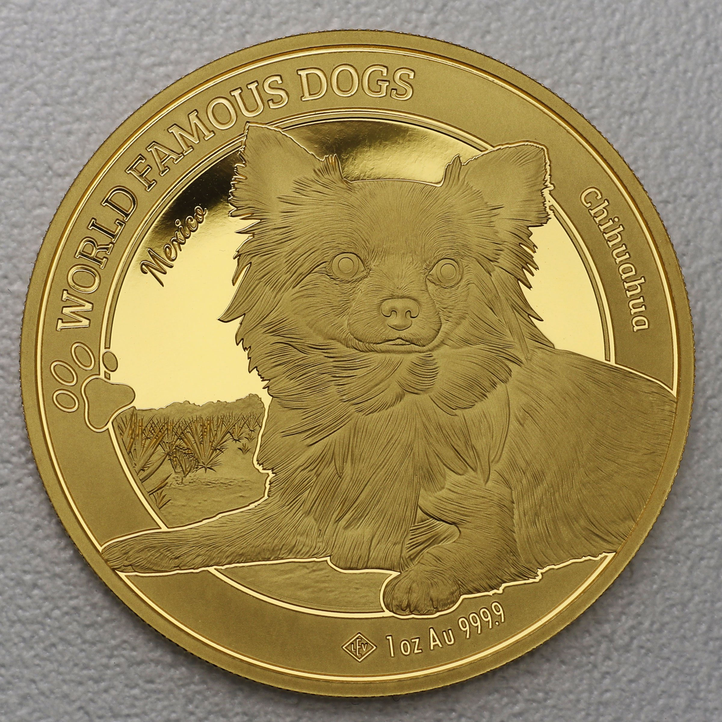 Goldmünze 1oz "Chihuahua" 2023 World Famous Dogs (Kamerun) - Hauptansicht