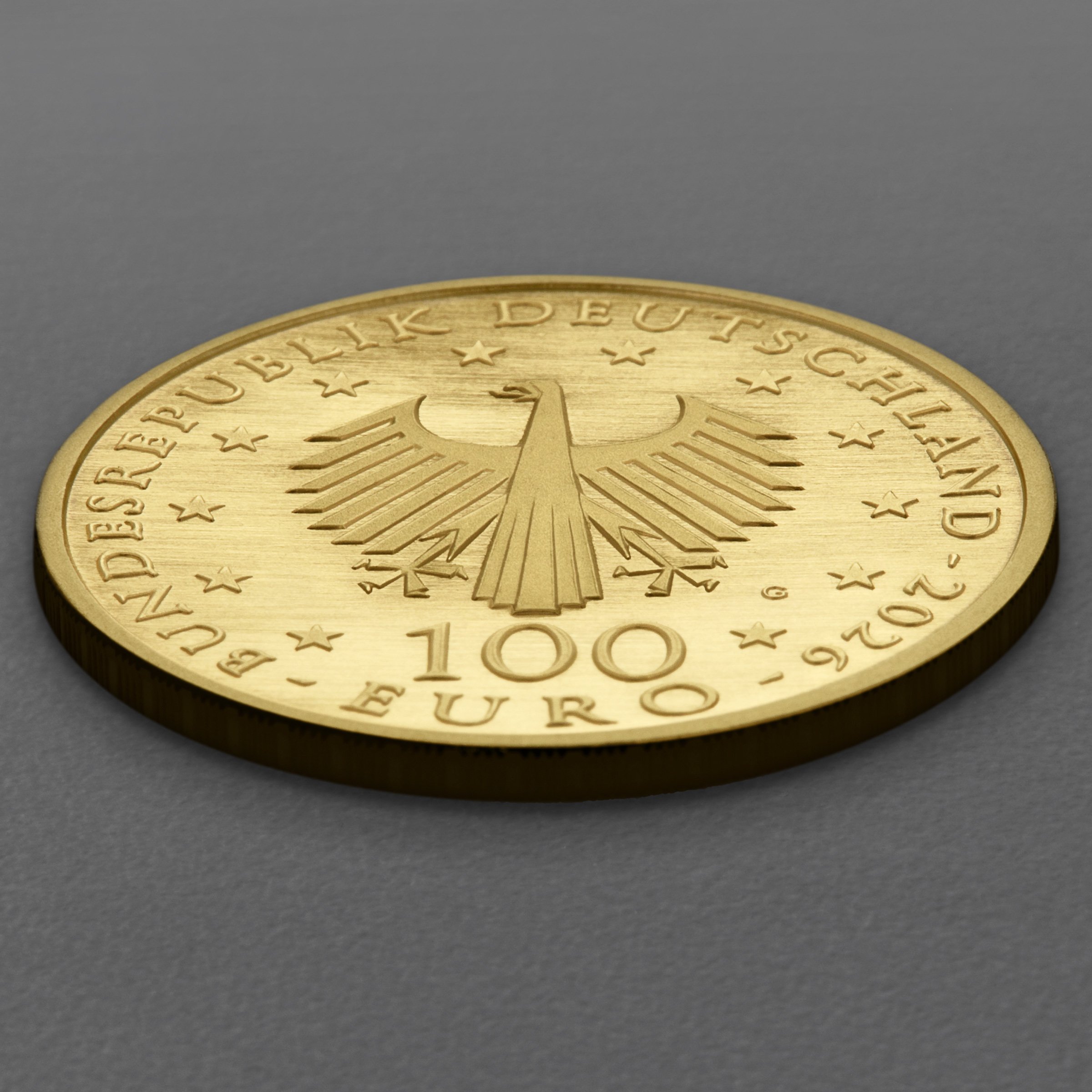 Goldmünze 100 Euro "Die Judenbuche" 2026 Meisterwerke der deutschen Literatur (Deutschland) - Detailansicht 3