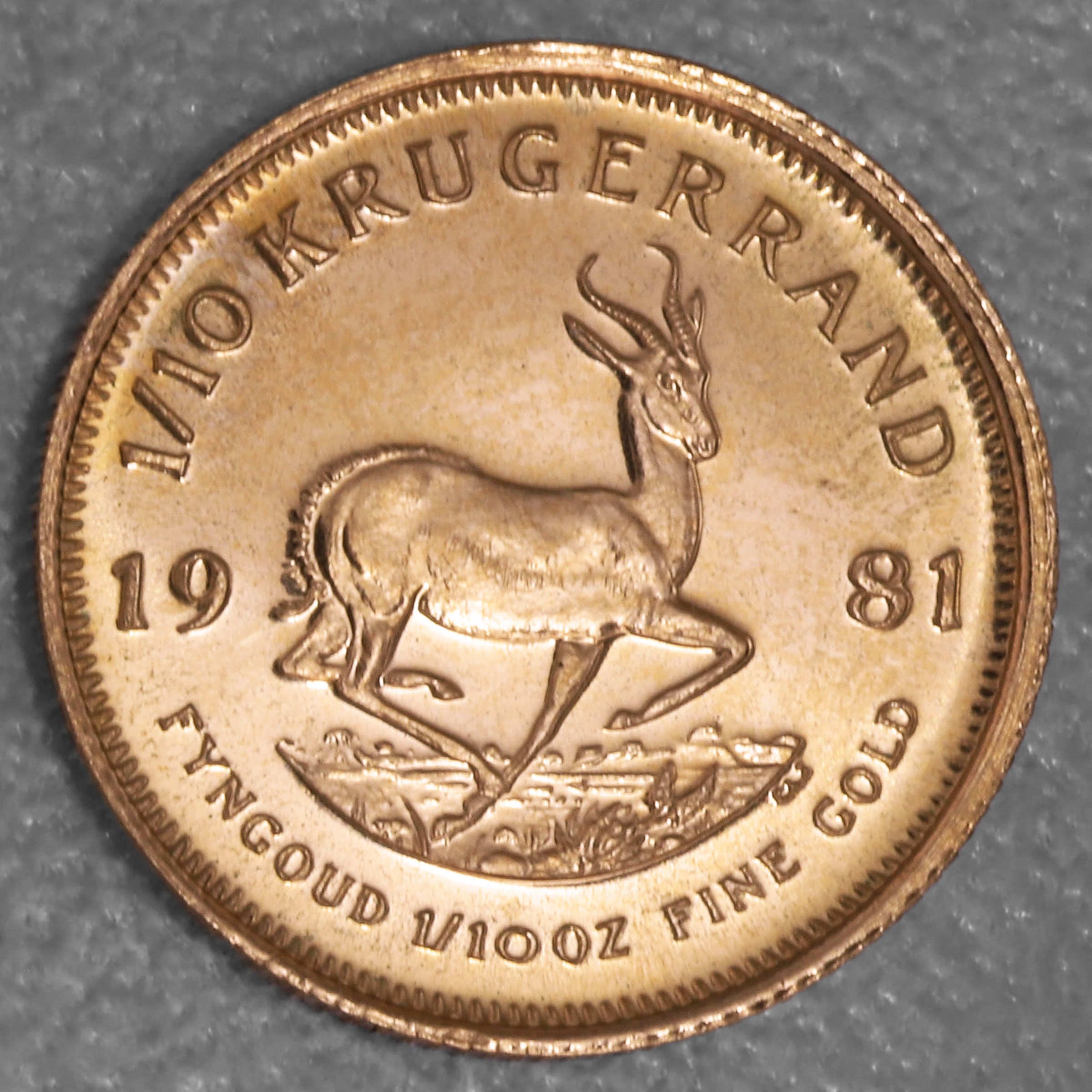 Goldmünze 1/10oz "Krügerrand" 1981 (Südafrika) - Hauptansicht