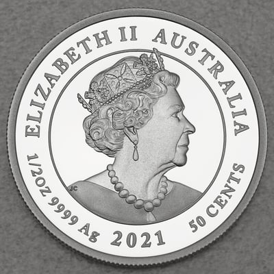 Silbermünze 1/2oz "Newborn" 2021 (PP/koloriert) (Australien) - Miniaturansicht 2