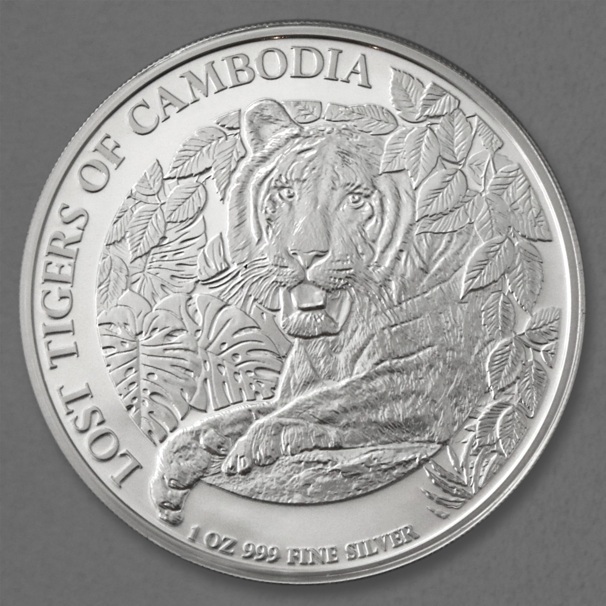 Silbermünze 1oz "Lost Tigers of Cambodia" 2023 diff. (Kambodscha) - Hauptansicht