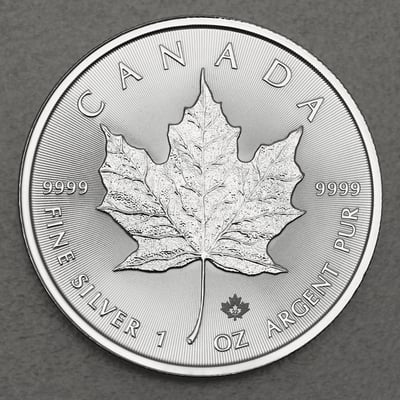 Silbermünze 500 x 1oz "Maple Leaf" verschiedene Jahrgänge Masterbox diff. (Kanada) - Hauptansicht
