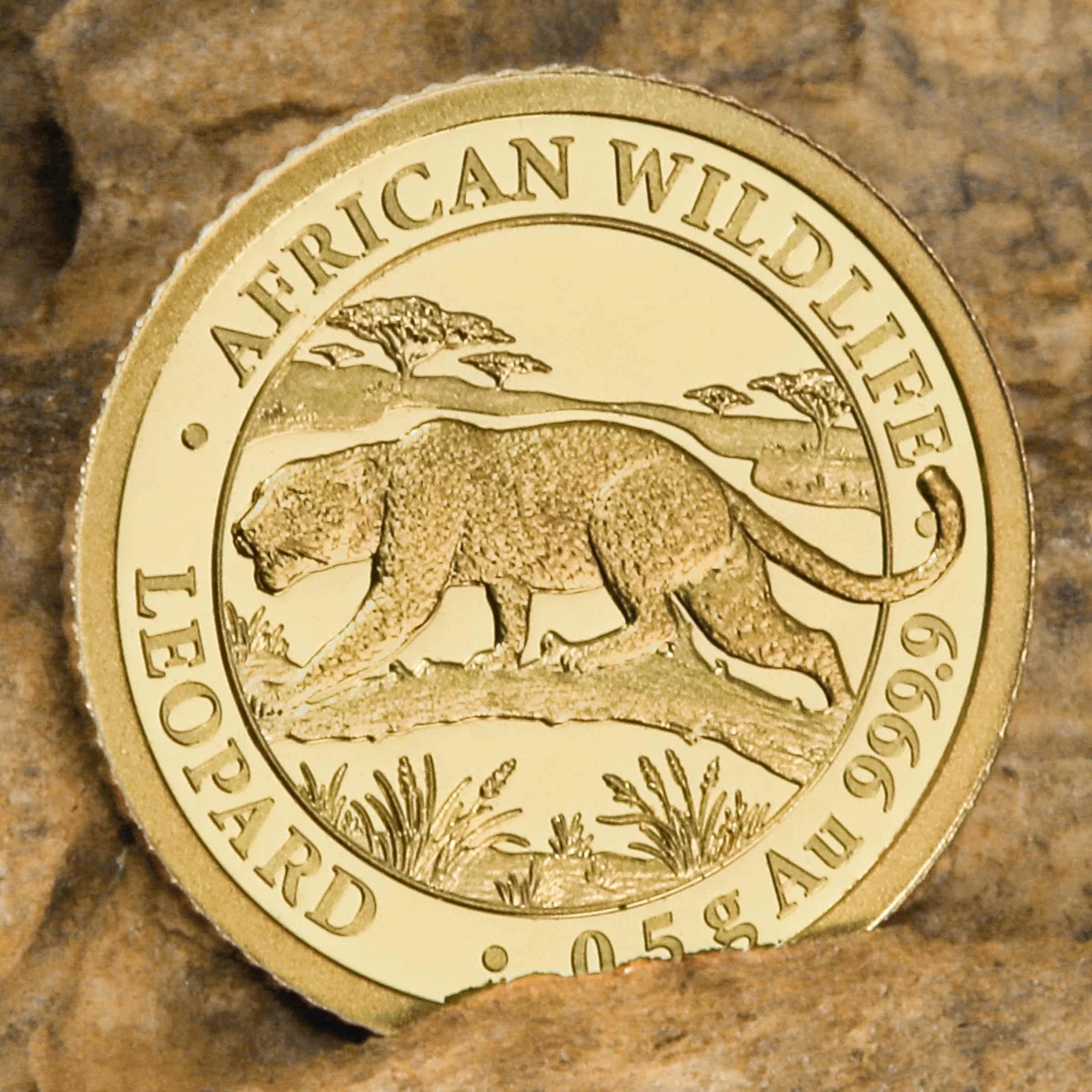 Goldmünze 0,5g "Leopard" 2026 (PP) African Wildlife (Somalia) - Detailansicht 4