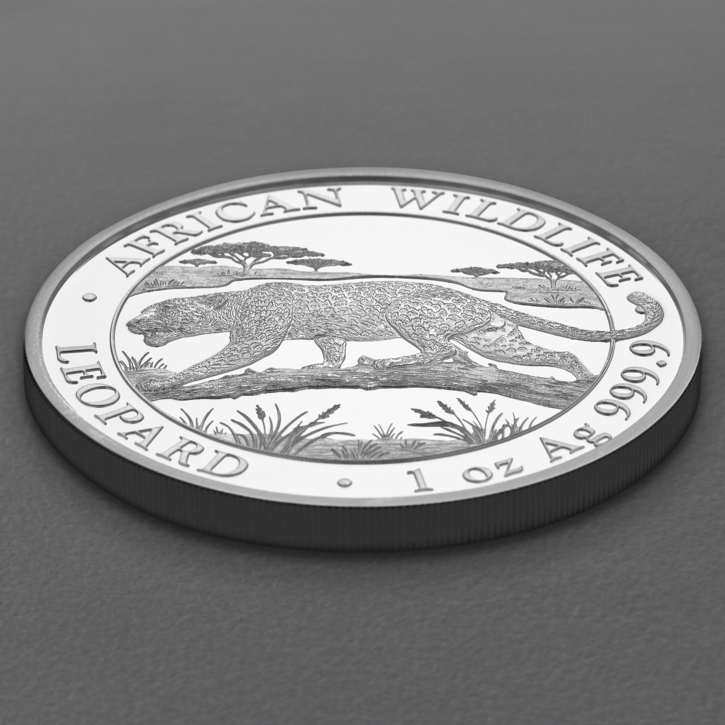Silbermünze 1oz "Leopard" 2026 African Wildlife 19% (Somalia) - Detailansicht 2