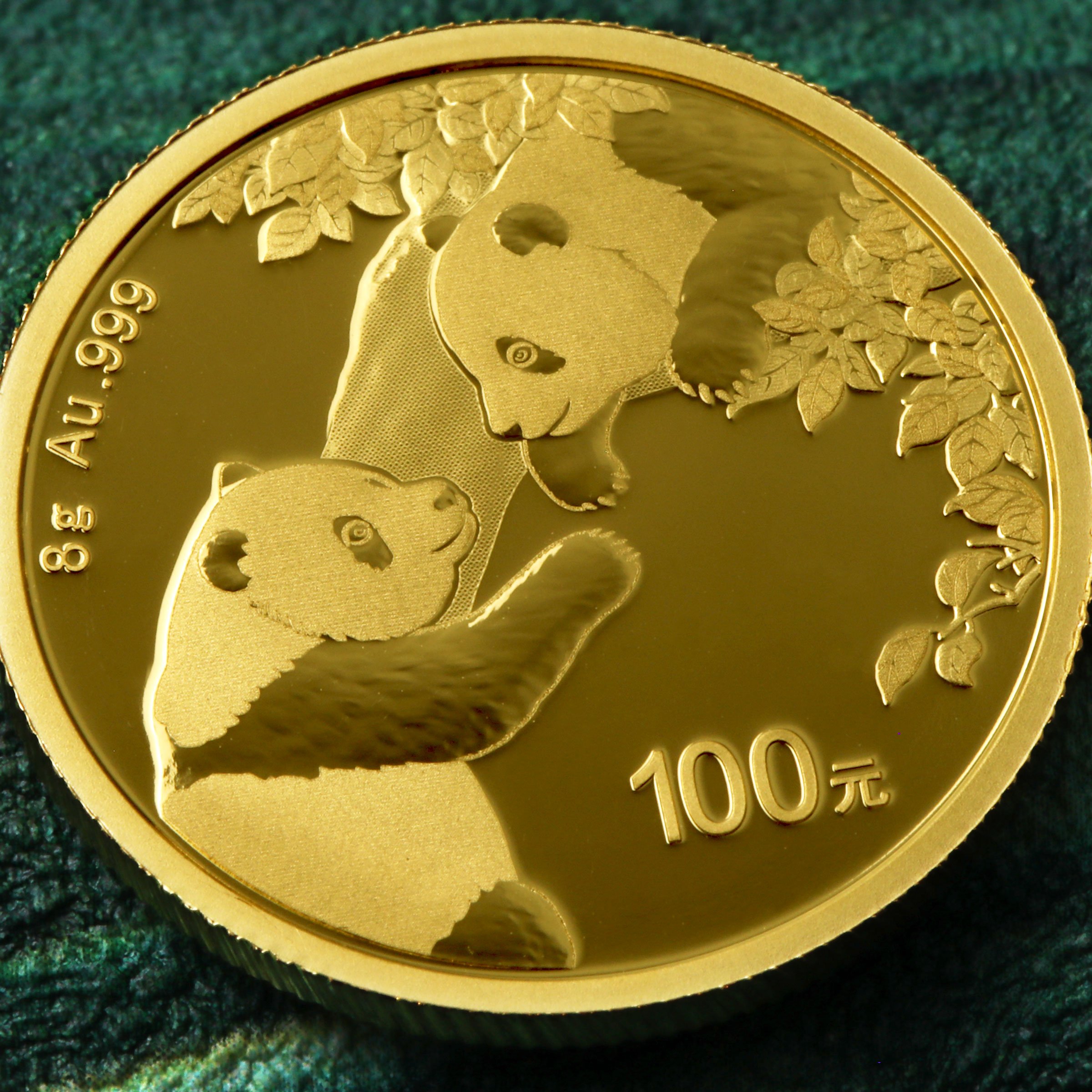 Goldmünze 8g "Panda" 2023 (China) - Detailansicht 4