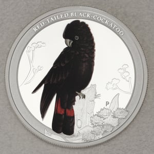 Silbermünze 1/2oz "Black Cockatoo 2013" (PP) Birds of Australia - Miniaturansicht 1