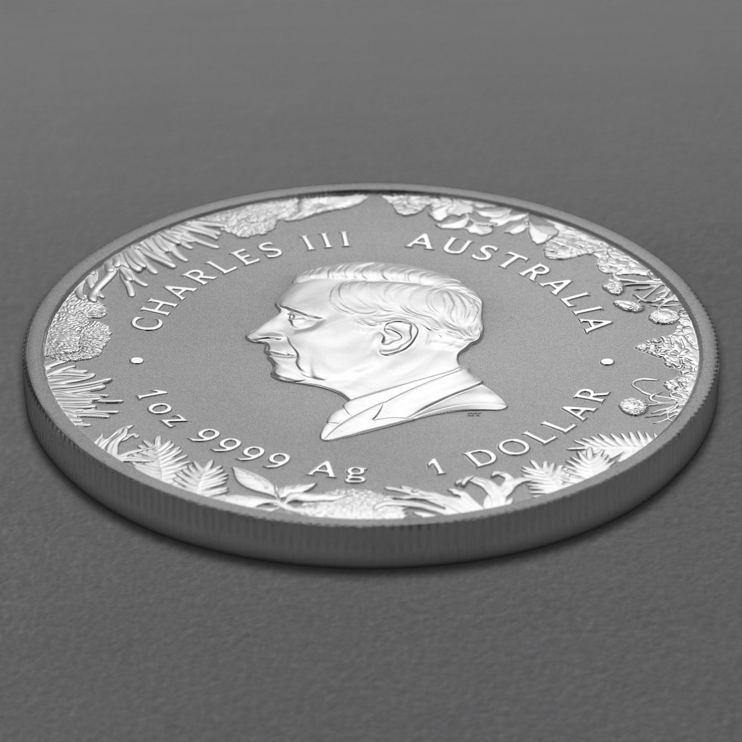 Silbermünze 1oz "The Outback" 2026 Wonders of Australia 19% (Australien) - Detailansicht 3