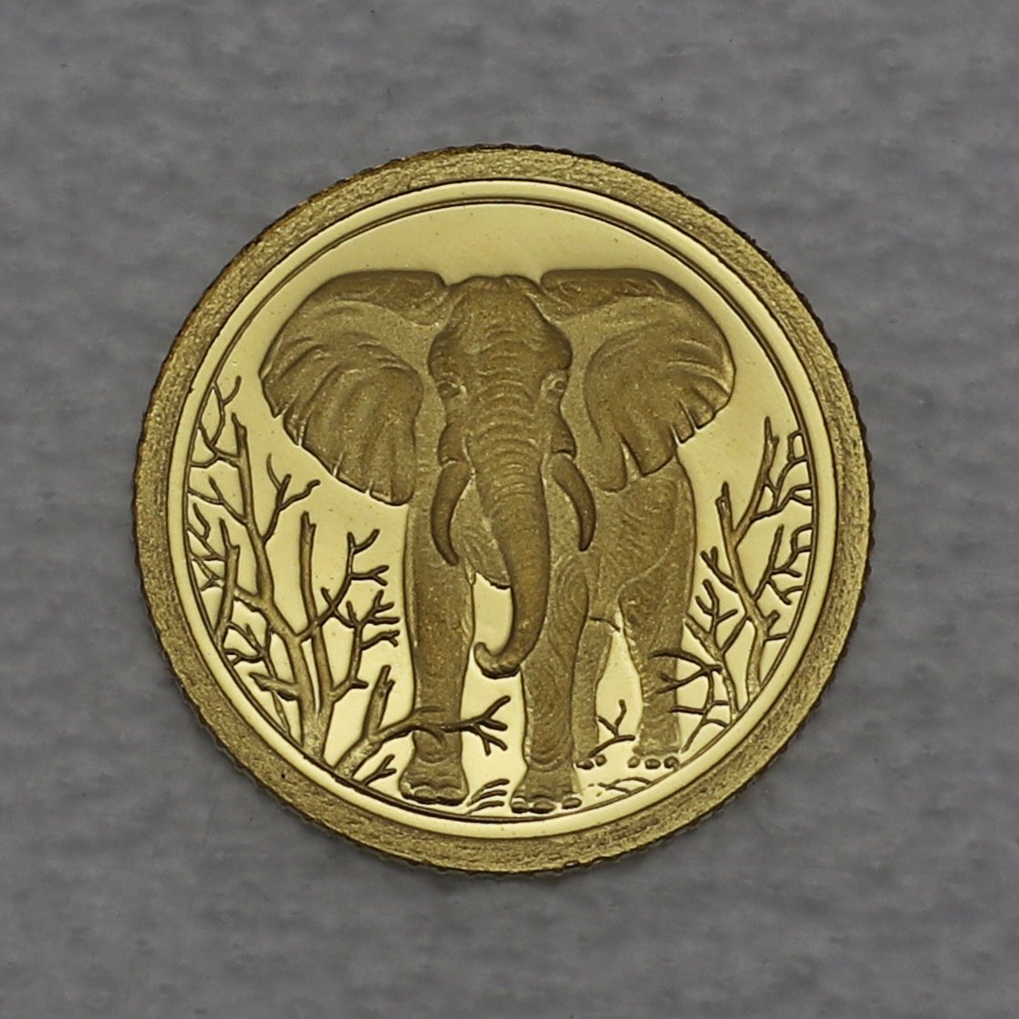 Goldmünze 0,5g "Elefant" 2004 African Wildlife (Somalia) - Hauptansicht