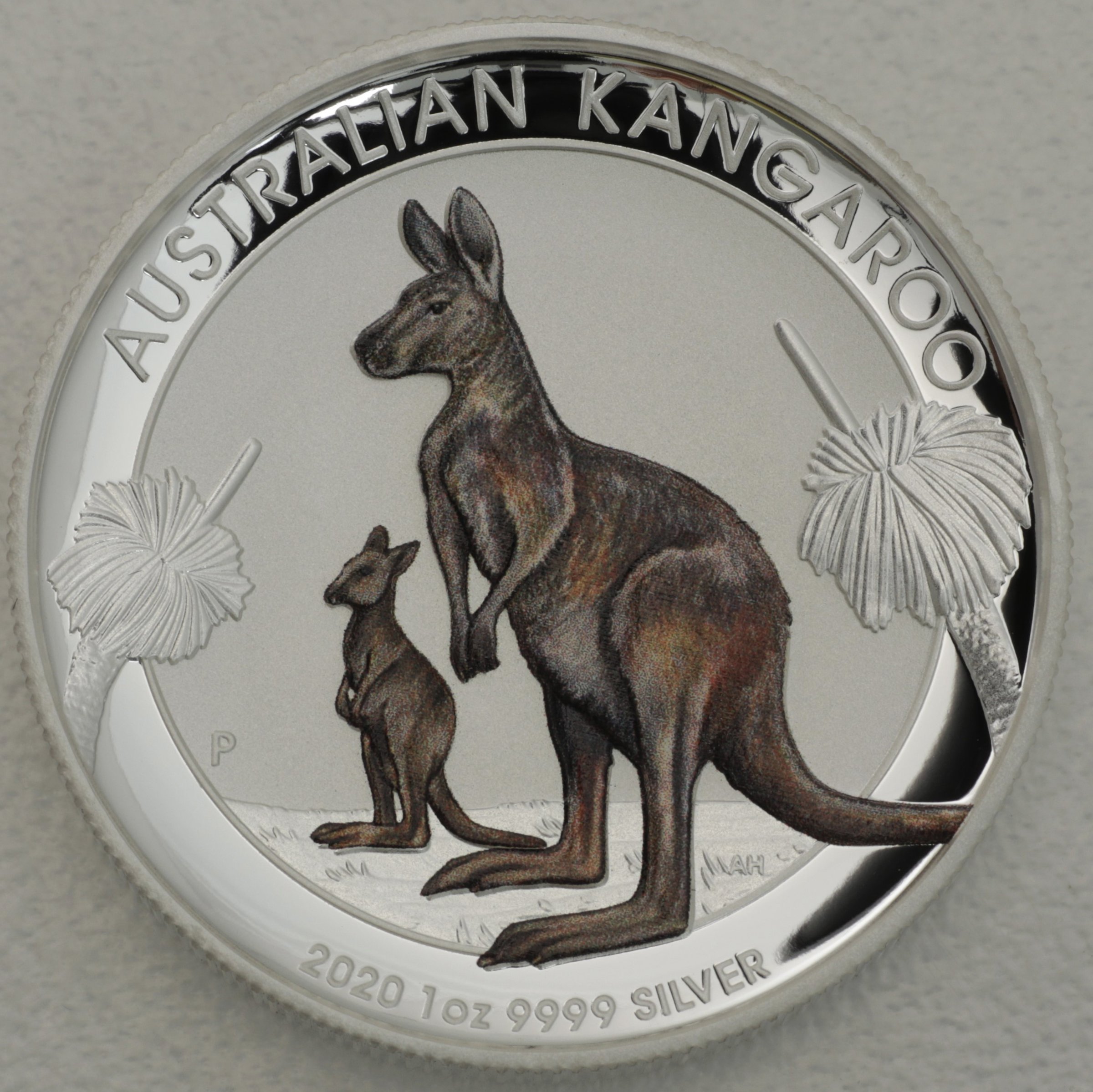 Silbermünze 1oz "Känguru" 2020 (HR/koloriert) (Australien) - Hauptansicht