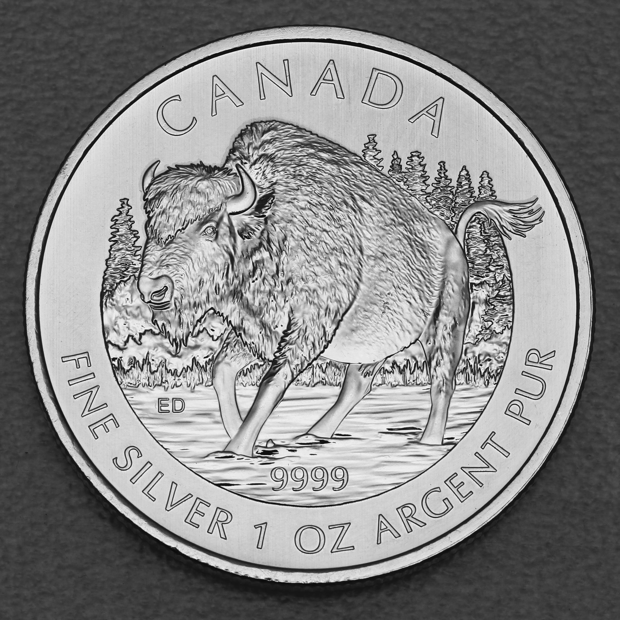 Silbermünze 1oz "Bison" 2013 Wildlife Canada (Kanada) - Hauptansicht