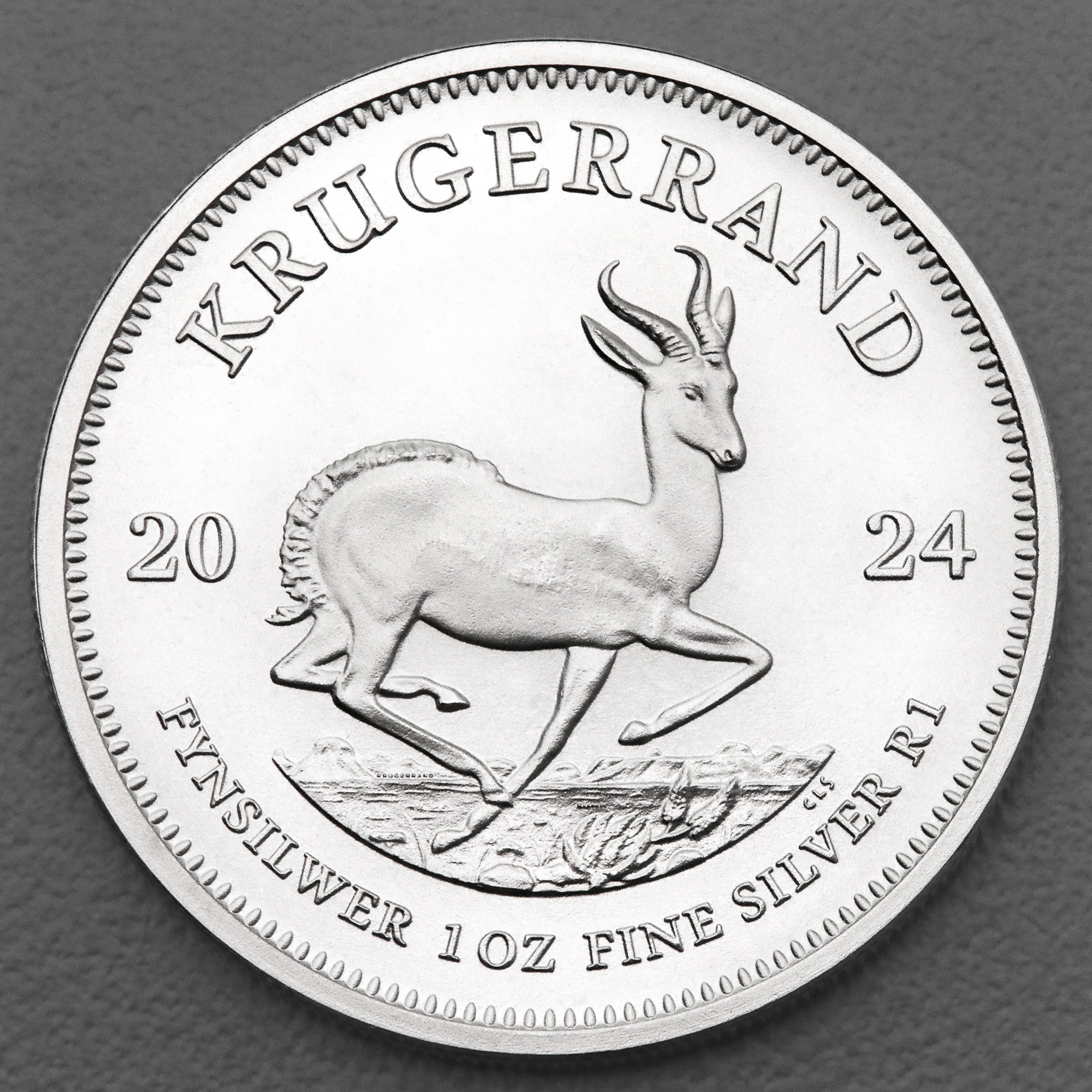Silbermünze 25 x 1oz "Krügerrand" verschiedene Jahrgänge Tube diff. (Südafrika) - Detailansicht 3