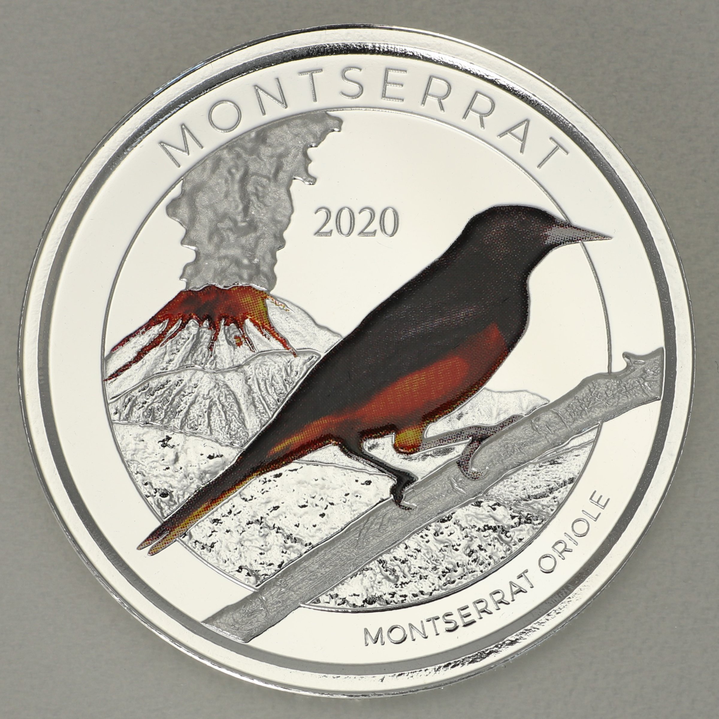 Silbermünze 1oz "Oriole" 2020 (koloriert) Eastern Caribbean 8 (Montserrat) - Hauptansicht